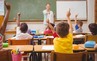Master New Skills: Online Tutoring Services in Suffolk County NY