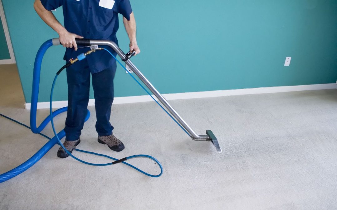 Importance of Commercial Carpet Cleaning in Mesa, AZ, For Improving Workplace Hygiene