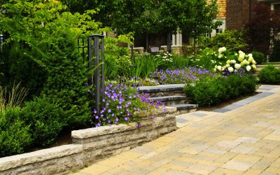 Travertine Stone in Houston, TX: Timeless Elegance Beneath the Lone Star Sky