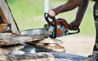 Tree Cutting Services in Murfreesboro, TN: Ensuring Safety and Beauty in Your Community