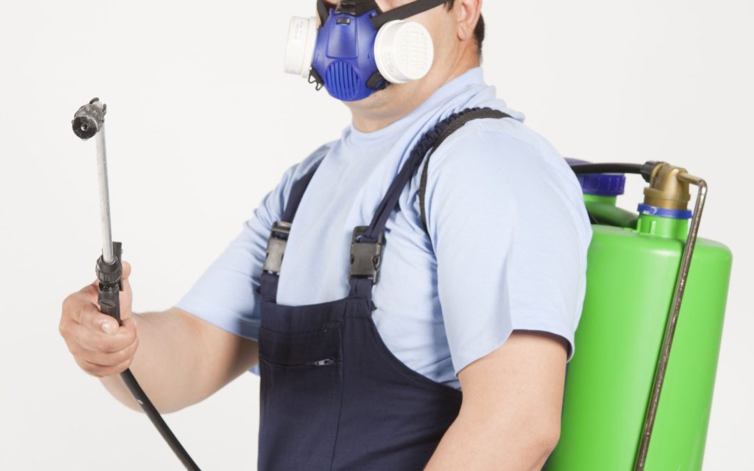 Pest Exterminator in Somerset County, NJ: Keeping Your Home Pest-Free