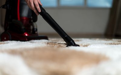 Revolutionizing Home Hygiene: The Rise of a Carpet Cleaning Company in Auberry, CA