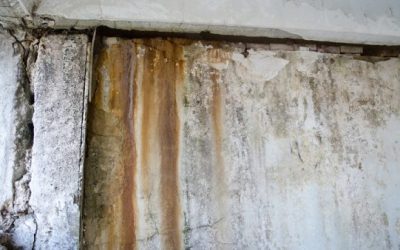 Combating Mold with Expertise: The Essential Guide to Mold Damage Remediation Service in Omaha, NE