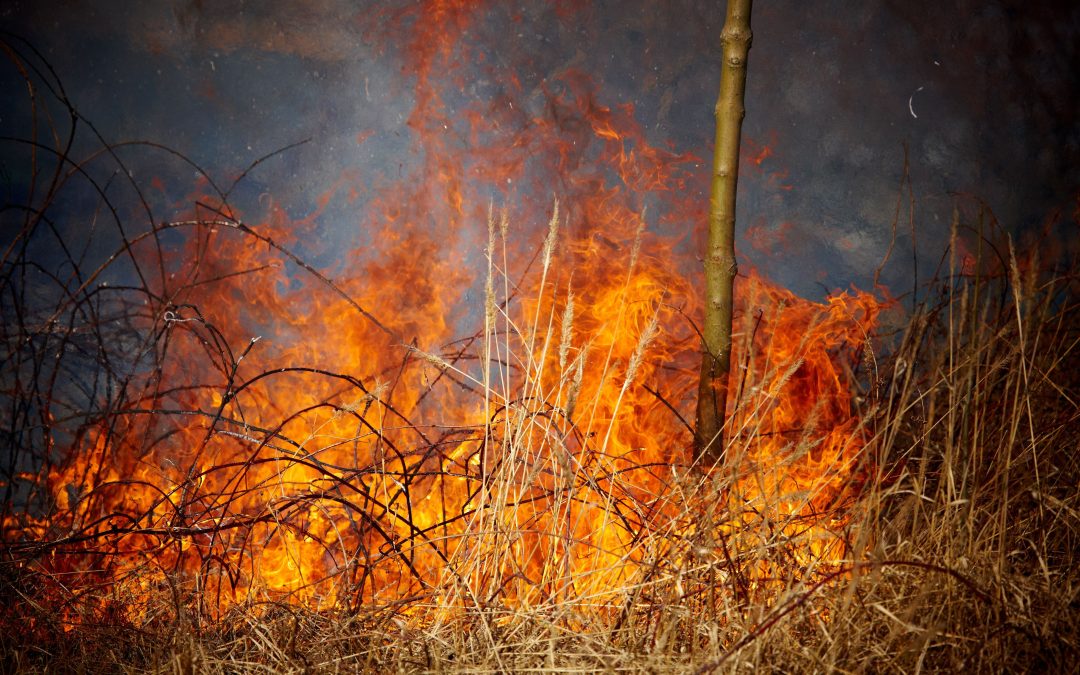 Rising from the Ashes: Navigating Fire Damage Repair in Council Bluffs, IA.