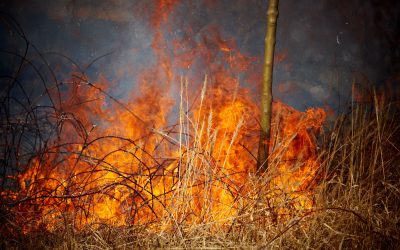 Rising from the Ashes: Navigating Fire Damage Repair in Council Bluffs, IA.