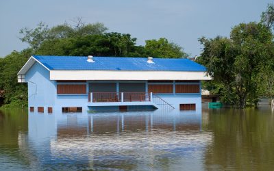 This is a comprehensive handbook for Water Damage Restoration in Saunders County, NE.