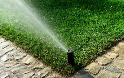 Round Rock’s Essential Guide to Sprinkler Maintenance