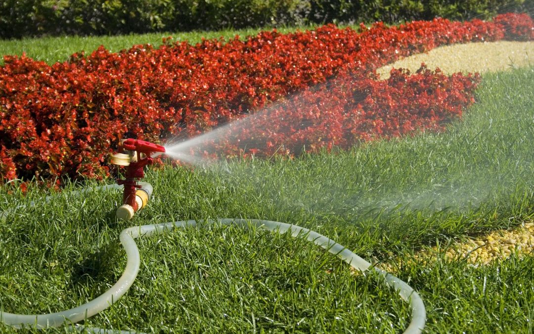 Efficient Solutions for Green Spaces: The Role of Irrigation Companies in Austin