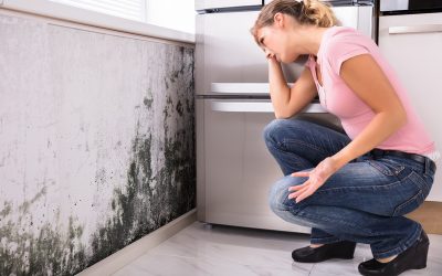 It’s crucial to comprehend the significance of mold damage Remediation in Omaha, NE.