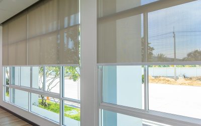 Uncover the Charm of Roller Shades in Florence, KY