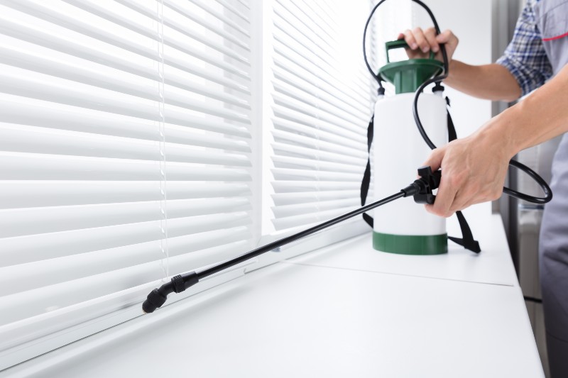 Protecting Your Home and Business: Effective Pest Removal Services in Eastsound, WA