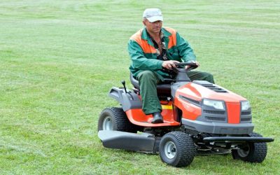 Landscaping Service in Midland MI: Enhancing Homes with Style and Savings