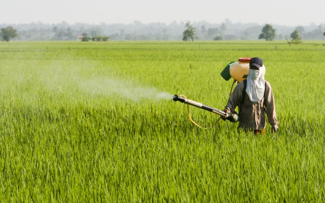 Protect Your Crops with Fungicide Crop Spray in Heyworth