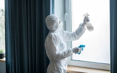 How Professional House Window Cleaning Las Vegas NV Improves Home Curb Appeal Instantly