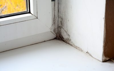 Worth TX SolutionsProtect Your Property with Water Restoration Services Dallas-Ft.
