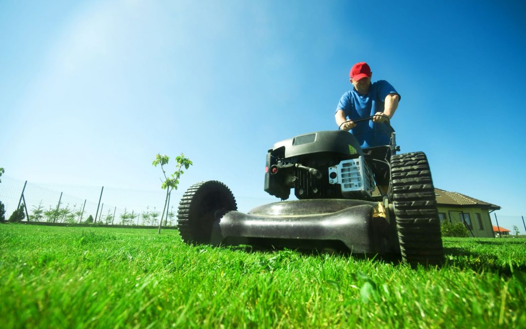 Lawn Care Services: Making Lawn Maintenance Simple and Effective