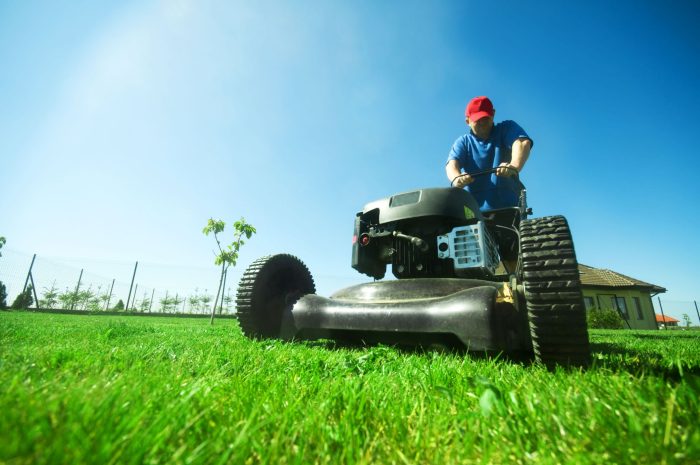 5340203_l-Man-mowing-the-lawn.-Gardening--e1753333503647