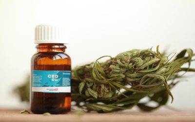 Real Stories Show Why CBD Tinctures For Pain Are Changing the Way We Manage Discomfort