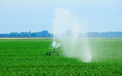 Save Water and Money With Expert Irrigation Repair Austin Homeowners Trust