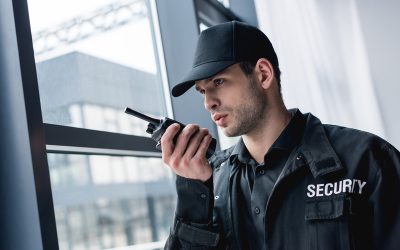 How Protective Services Helena MT Ensures Peace of Mind for Local Families