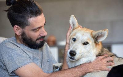 Give Your Furry Friend the Best with Pet Grooming Wisconsin Rapids WI Services