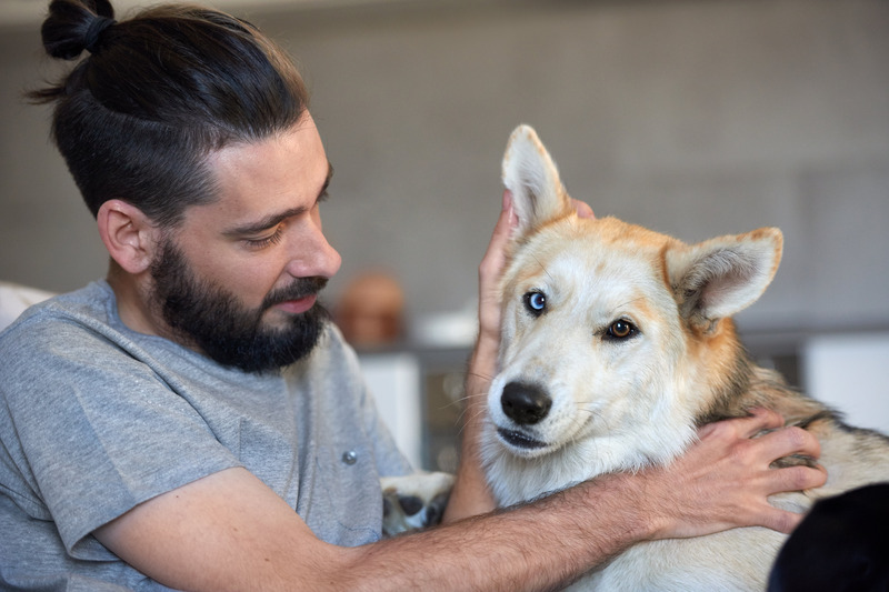Give Your Furry Friend the Best with Pet Grooming Wisconsin Rapids WI Services