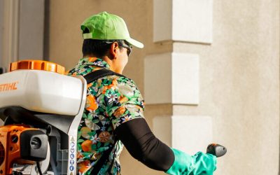 Keeping Your Yard Safe With Lawn Spray for Chiggers Prevents Itchy Bites in US Lawns