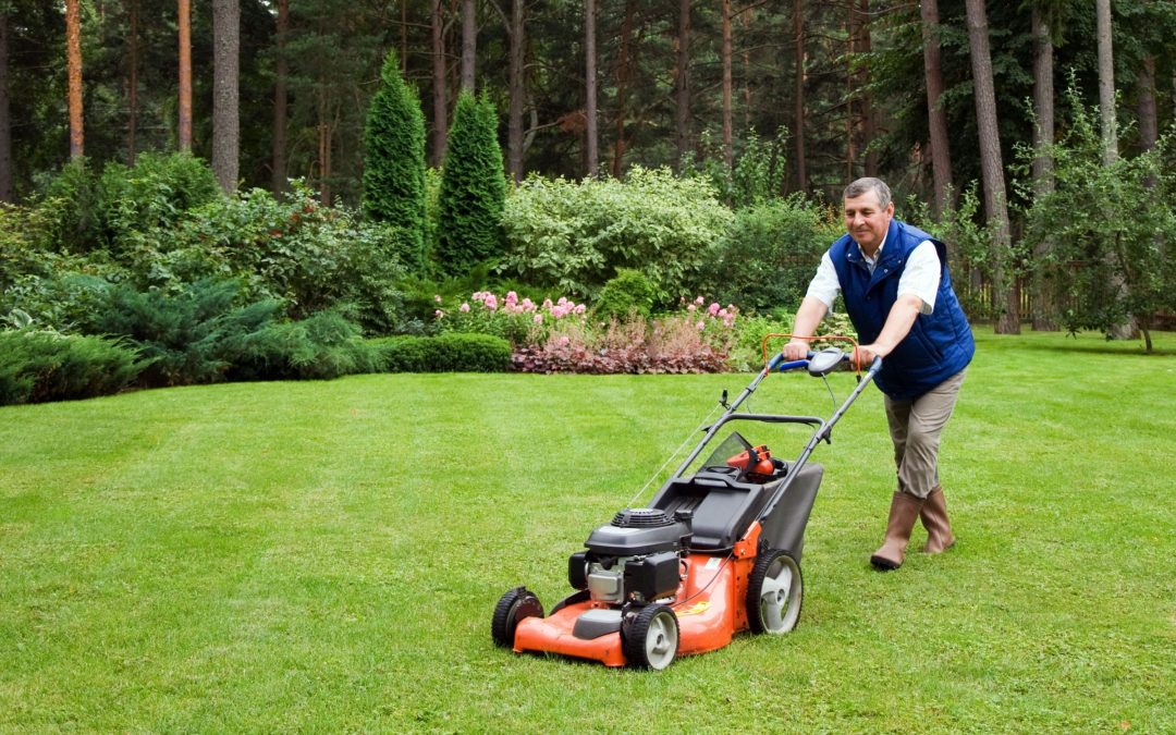 Commercial Lawn Maintenance Services: Ensuring Green and Welcoming Properties