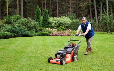 Commercial Lawn Maintenance Services: Ensuring Green and Welcoming Properties