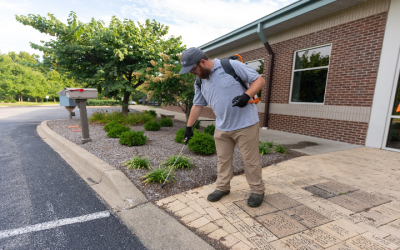 Protect Your Home From Bites With the Best Mosquito Companies Near Sellersburg IN