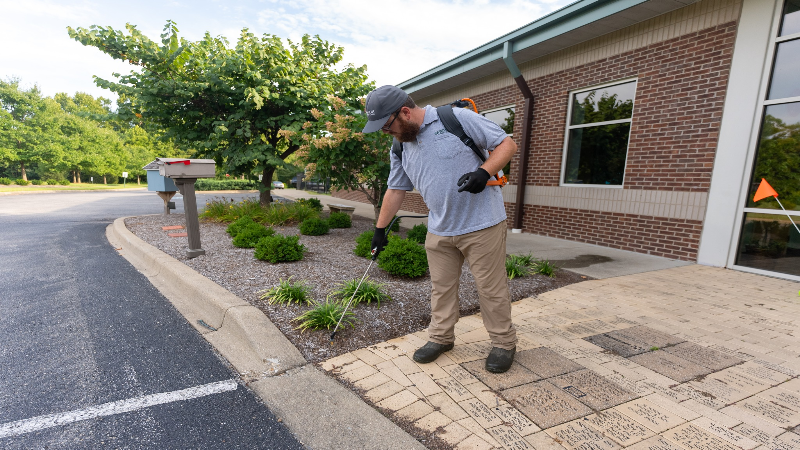 Protect Your Home From Bites With the Best Mosquito Companies Near Sellersburg IN