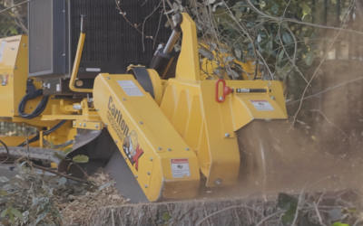 Say Goodbye to Unsightly Yards with Professional Stump Grinding in McDonough, GA, Solutions