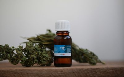 The Ultimate Guide to StressFree NYC Weed Delivery Manhattan for Busy Lifestyles