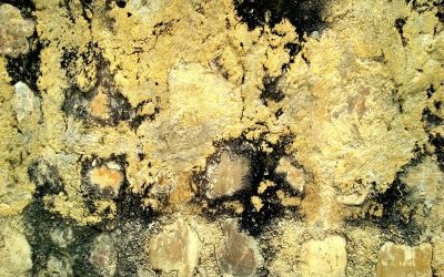 Protect Your Family with Mold Remediation Temecula CA Solutions That Truly Work