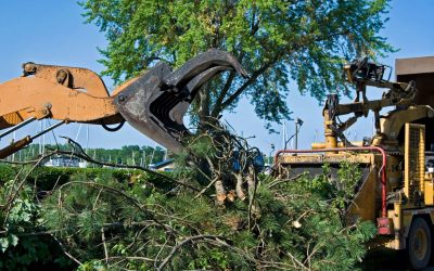Improve Construction Prep with Forestry Clearing Services Hephzibah, GA Homeowners Trust