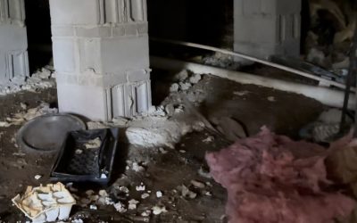 Learn how to get rid of mold in my crawl space Arkansas for a healthier home environment