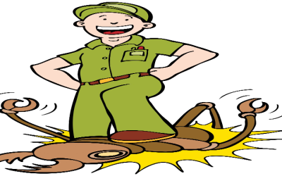 Effective Solutions For Homeowners Using Pest Control In Newnan, GA Services