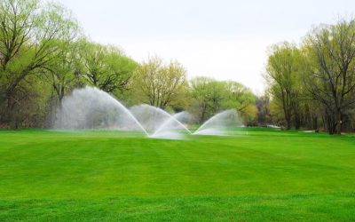Save Water and Cut Costs with Synthetic Lawn Turf Chandler, AZ in Residential Lawns