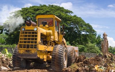 Transform Overgrown Lots Using a Trusted Land Clearing Contractor in Punta Gorda, FL
