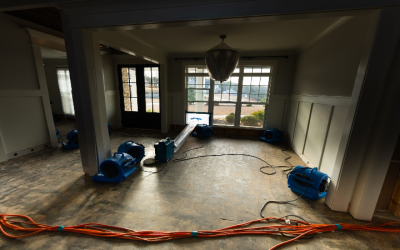 Quick Response Matters When Water Restoration In Newnan, GA, Specialists Step In