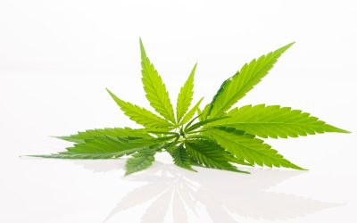 Ways a Cannabis Delivery Service in New York City Enhances Convenience and Privacy